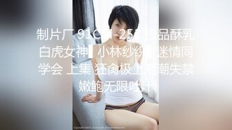 【新片速遞】  科技园女厕黑纱裙红高跟美艳女主管 两片湿软的肥嫩唇肉让人抓狂