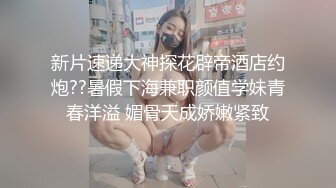 女友打桩机