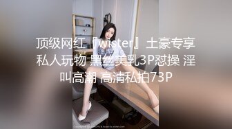 顶级网红『wister』土豪专享私人玩物 黑丝美乳3P怼操 淫叫高潮 高清私拍73P