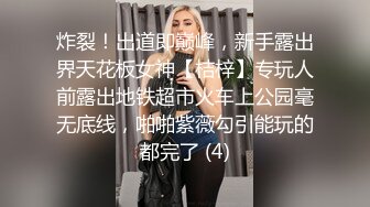 《百度云泄密》极品美少妇和前任啪啪啪私密视讯被渣男曝光 (4)