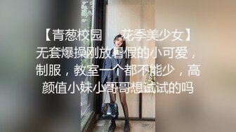 【超人探花】约操外围小姐姐，自带情趣装吊带网袜，翘起屁股吃大屌，骑乘位爆操搞了两炮