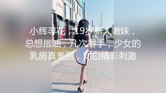  小辉寻花，19岁新人嫩妹，总想揩油，几次得手，少女的乳房真美丽，对白精彩刺激