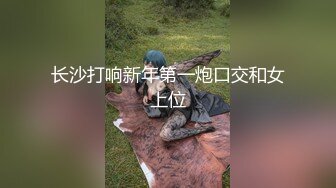 上集,小偷与租客的故事