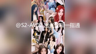 @S2-AV02 出张流程一指通