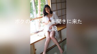 ボクのクレームを聞きに来た女が 13