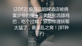  姐妹榨汁机，两个少妇双飞战大叔，花样百出，极致享受