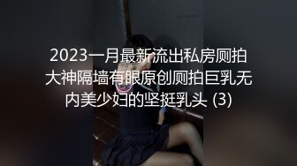 2023一月最新流出私房厕拍大神隔墙有眼原创厕拍巨乳无内美少妇的坚挺乳头 (3)