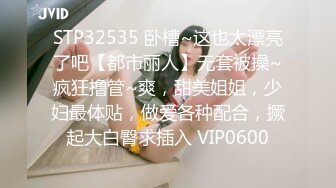 STP32535 卧槽~这也太漂亮了吧【都市丽人】无套被操~疯狂撸管~爽，甜美姐姐，少妇最体贴，做爱各种配合，撅起大白臀求插入 VIP0600