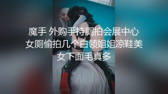 睡眠奸NTR对恼人讨厌的上司报复，以他的妻子为中心进行逆恨中出！友田真希