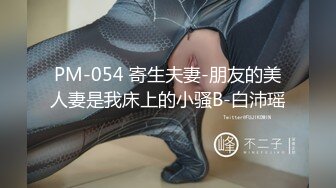 PM-054 寄生夫妻-朋友的美人妻是我床上的小骚B-白沛瑶