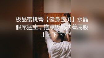 极品蜜桃臀【健身宝贝】水晶假屌猛坐，撸点极高扶着屁股上上下下