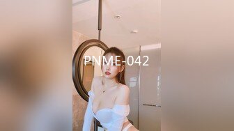 PNME-042