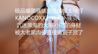 被老公上司侵犯的最强美女辞去搜查官成为妻子