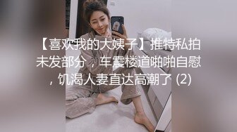 【喜欢我的大姨子】推特私拍未发部分，车震楼道啪啪自慰，饥渴人妻直达高潮了 (2)