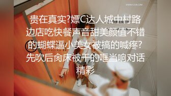 -女神悦月的微笑约土豪玩户外车震 最后摘套直接内射