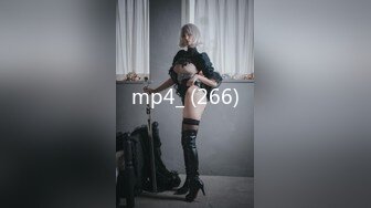 mp4_ (266)