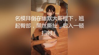 SH-005_多梅奇絲襪_性感美女絲襪激情演繹麻豆