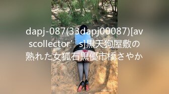 dapj-087(33dapj00087)[avscollector’s]黒天狗屋敷の熟れた女狐石黒優市橋さやか