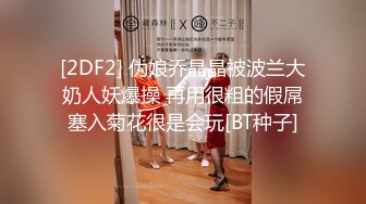 [2DF2] 伪娘乔晶晶被波兰大奶人妖爆操 再用很粗的假屌塞入菊花很是会玩[BT种子]