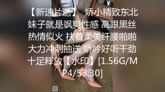 6/19最新 歌厅探花花臂纹身骚御姐抬起双腿沙发上爆操VIP1196