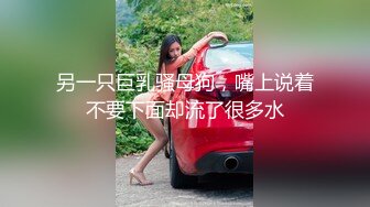 另一只巨乳骚母狗，嘴上说着不要下面却流了很多水