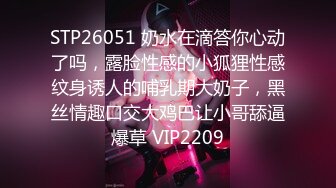 STP26051 奶水在滴答你心动了吗，露脸性感的小狐狸性感纹身诱人的哺乳期大奶子，黑丝情趣口交大鸡巴让小哥舔逼爆草 VIP2209