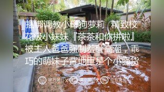 宝贝：永恒的友谊