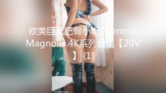 欧美巨乳肥臀小坦克Emma.Magnolia.4K系列合集【20V】 (1)