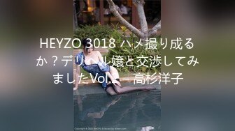 HEYZO 3018 ハメ撮り成るか？デリヘル嬢と交渉してみましたVol.2 – 高杉洋子