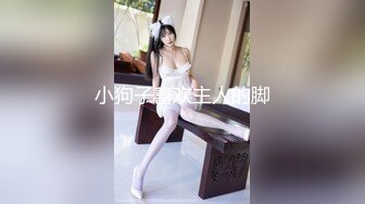 小狗子喜欢主人的脚