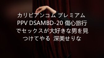 カリビアンコム プレミアム PPV DSAMBD-20 傷心旅行でセックスが大好きな男を見つけてやる  深美せりな