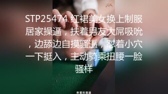 【韩国三级】风流韵事 An Affair to Forget.2022