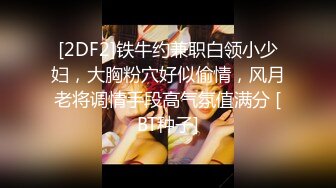 [2DF2]铁牛约兼职白领小少妇，大胸粉穴好似偷情，风月老将调情手段高气氛值满分 [BT种子]