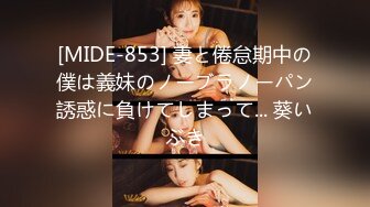 [MIDE-853] 妻と倦怠期中の僕は義妹のノーブラノーパン誘惑に負けてしまって... 葵いぶき