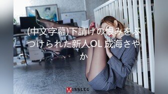 (中文字幕)下請けの恨みをぶつけられた新人OL 成海さやか