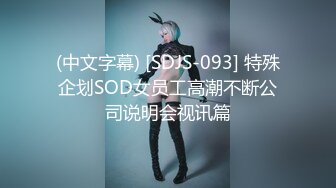 (中文字幕) [SDJS-093] 特殊企划SOD女员工高潮不断公司说明会视讯篇