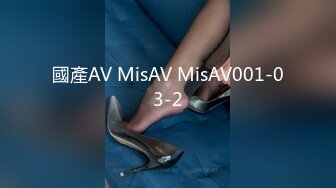 國產AV MisAV MisAV001-03-2